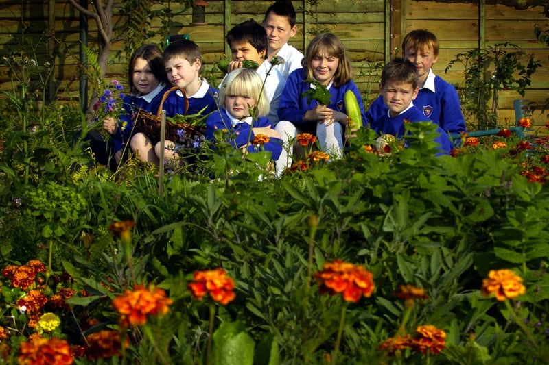 Ruswarp Primary School has won a Yorkshire in Bloom gold award.