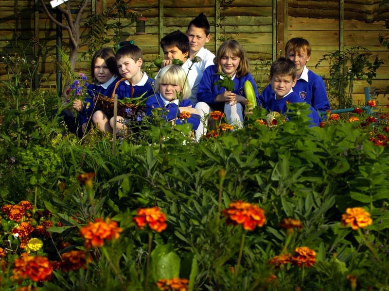 Ruswarp Primary School has won a Yorkshire in Bloom gold award.