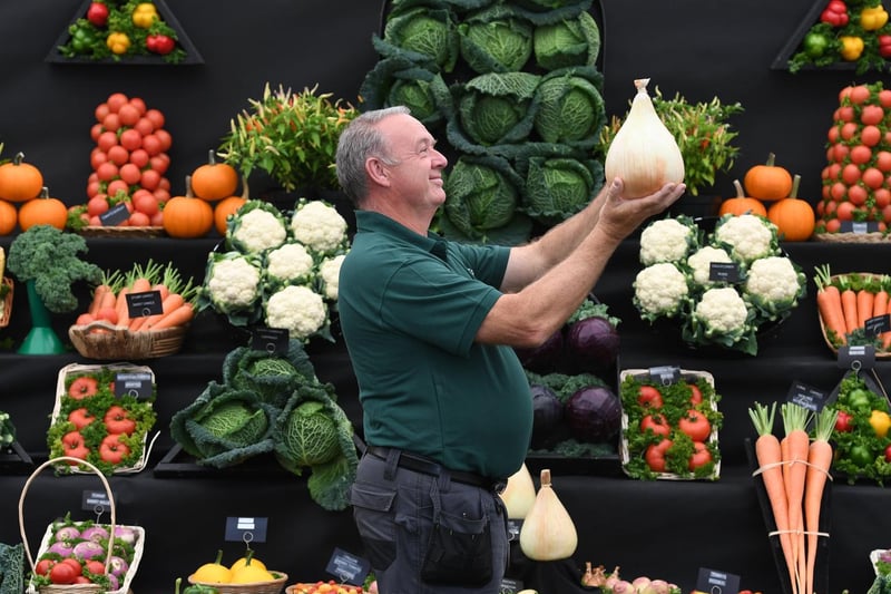 Alan Godfrey with the National Vegetable Society display holding a First Prize onion
