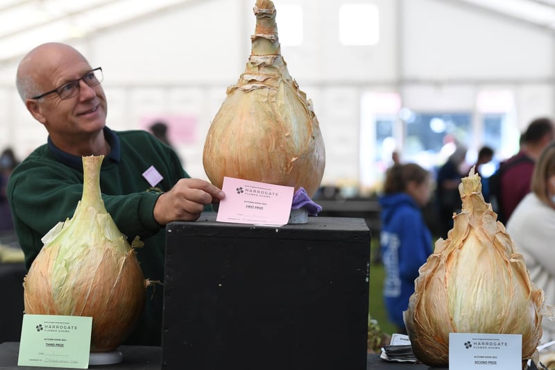 Onion judge Adrian Read with the heaviest onions on display at the show