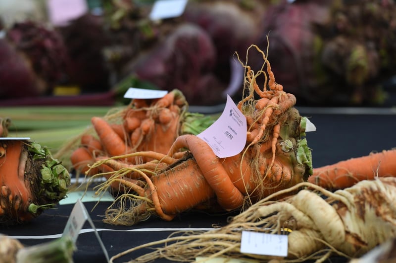 Heaviest carrot on display at the show
