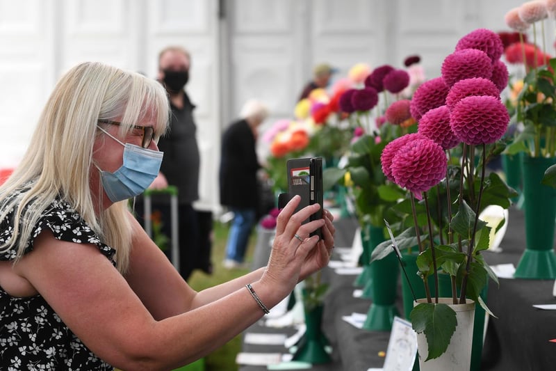 Visitors enjoyed taking photographs of the blooms on display