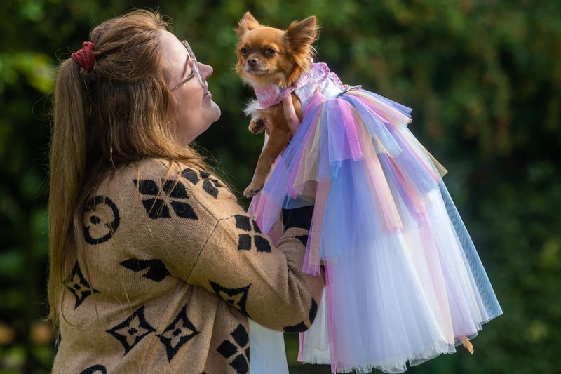 Tiffany Burrows, 26, of Portsmouth, holding Rosie - her two year old Chihuahua