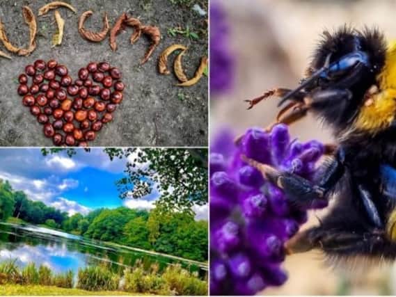 Bright colours and nature were on the minds of Wakefield’s photographers this week, as they set out to enjoy the great outdoors.