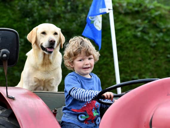 Wilfred Richardson (aged 2) sat on a tractor with Welly the dog