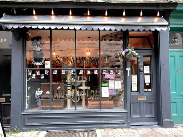 Steampuss Cat Lounge on Bar Street.