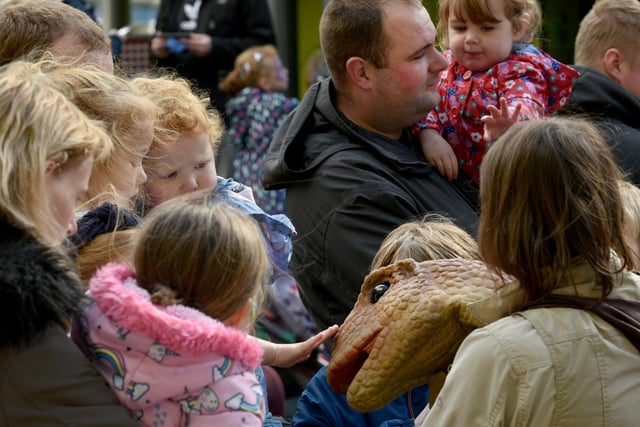 Meet the baby dinsoaurs during the Dino Day in Lancaster City Centre. Photo: David Hurst