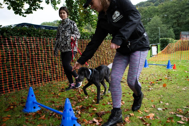 A rather damp day for Hebden's Happy Hounds, Hebden Royd Town Council's annual dog show