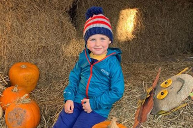 Head for the Pumpkin Festival at Ridgeway Farm where children can pick their own pumpkin and take it back to the orchard to decorate it to their heart’s desire