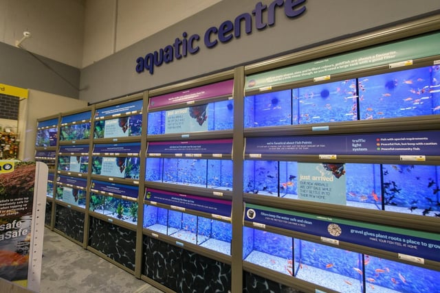 The store's aquatic centre contains a range of fish and accessories.