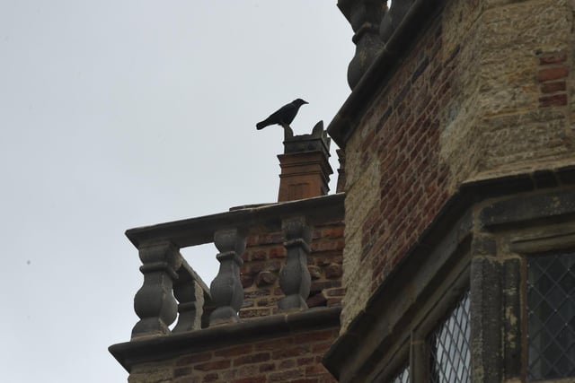 A bird takes a perch on the historic building