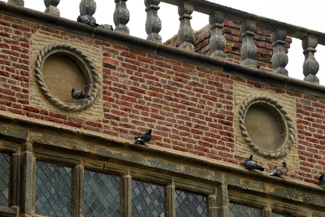 Birds nestle on the restored stonework of Astley Hall in Chorley