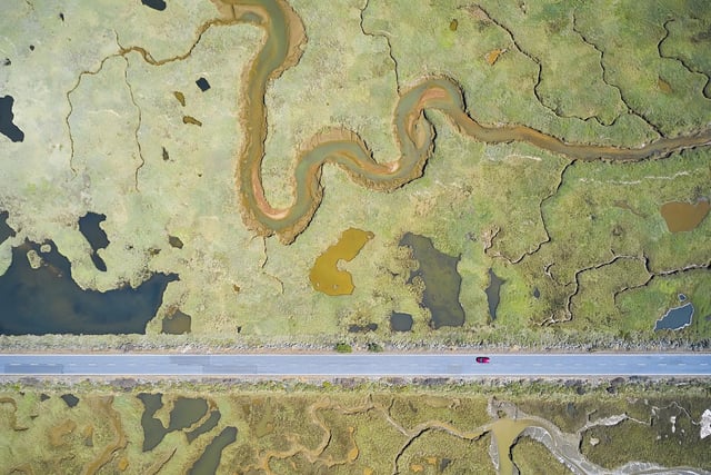 Road to ruin by Javier Lafuente showing the stark, straight line of a road slicing through the curves of the wetland landscape, which won Wildlife Photographer of the Year: Wetlands The Bigger Picture Award.