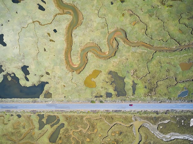 Road to ruin by Javier Lafuente showing the stark, straight line of a road slicing through the curves of the wetland landscape, which won Wildlife Photographer of the Year: Wetlands The Bigger Picture Award.