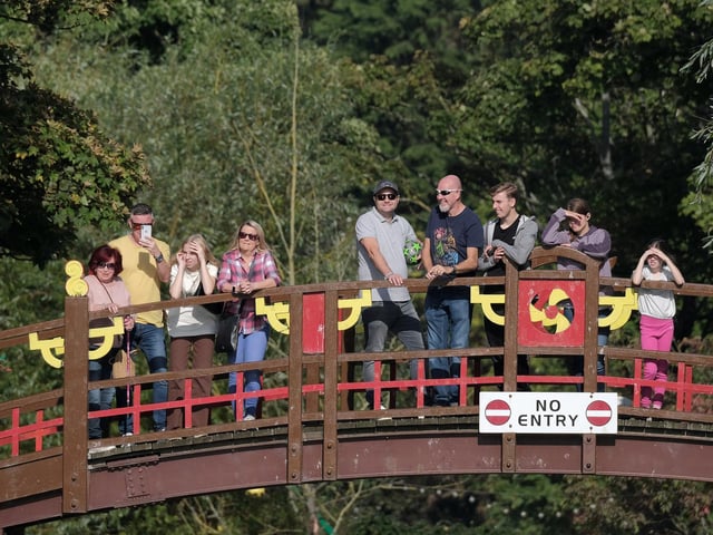 A great view of the race from the bridge.