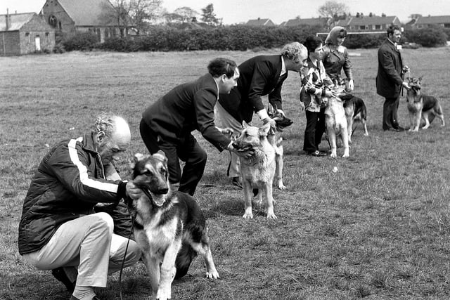 Owners and their dogs are pictured during the Shevington annual dog show in 1972