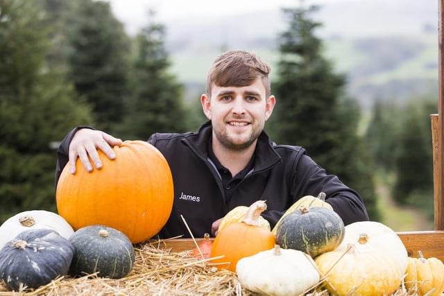 The pumpkin forest is free to enter and there are a number of special events overe half term