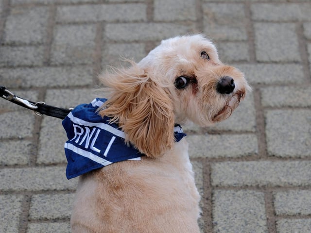 A RNLI-supporting spectator

Photo by Richard Ponter
