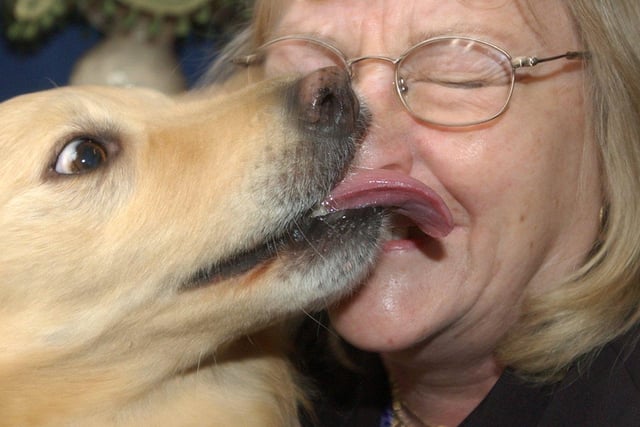 The lick of love after Beeston's Wynn Haley was reunited with her dog Billy.