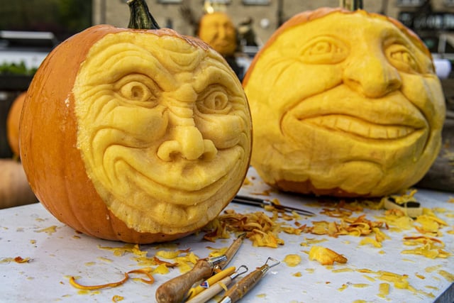 Elaborate pumpkin carvings ready for display