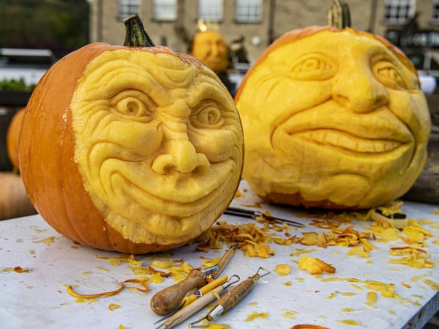 Elaborate pumpkin carvings ready for display