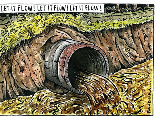 The Yorkshire Post cartoon
