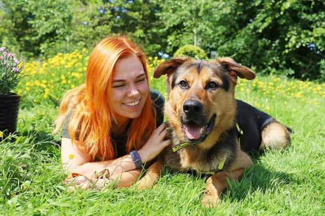 The team at Dogs Trust Leeds are currently caring for more than 20 dogs in needs of a home.