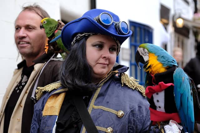 Strolling along with a feathered friend!
214810r