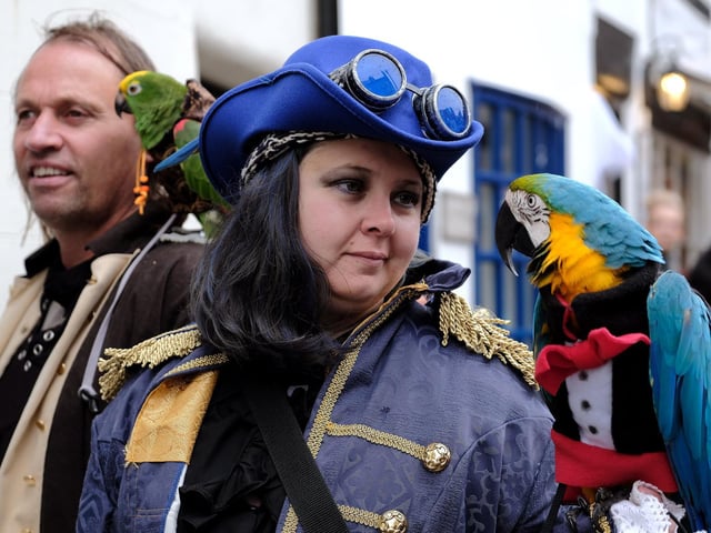 Strolling along with a feathered friend!
214810r