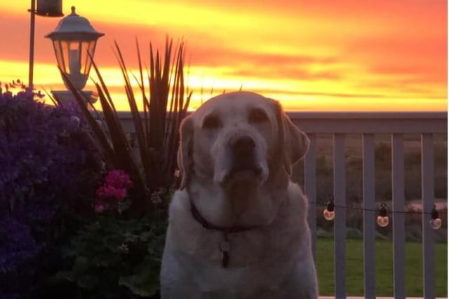 Lisa Kerry shared a photo of her pooch enjoying the stunning outdoors.