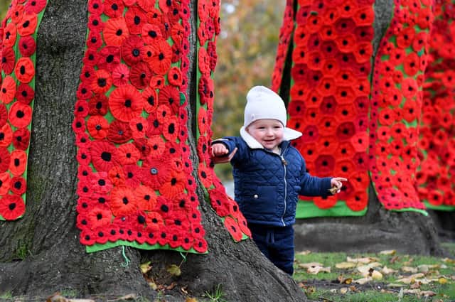 Oliver Morton (aged 1) at Knaresborough Castle by the poppy trees ready for Remembrance Day