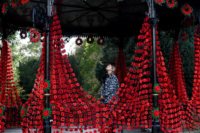 Kaja Maryniewska in the bandstand at Spa Gardens in Ripon decorated with hundreds of poppies