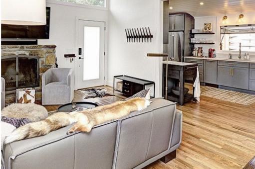 For those looking to experience the true taste of small-town USA, this notable foodie town is for you. In fact, Asheville is a food lover’s dream! Beyond great eats, you’ll also have access to the Blue Ridge Mountains, North Carolina Arboretum, Biltmore Estate and more. A mile from downtown, this home is close to all the action, yet benefits from being in a gloriously quiet neighbourhood.