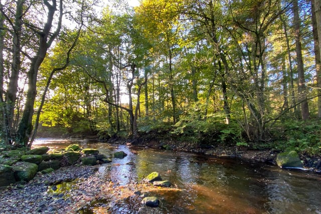 The River Washburn at Blubberhouses, taken by Michelle Bray.