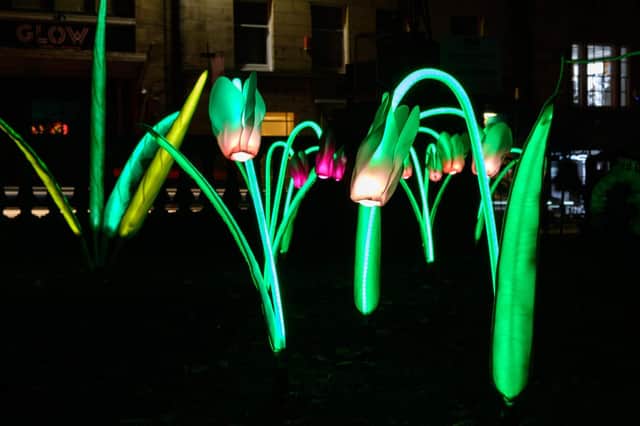 Dalton Square in full bloom as plants and flowers burst into life at Light Up Lancaster Festival. Photo: Kelvin Stuttard