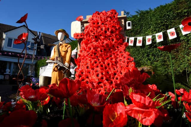 Lest we forget . . . the Poppy Appeal is celebrating its 100th anniversary.