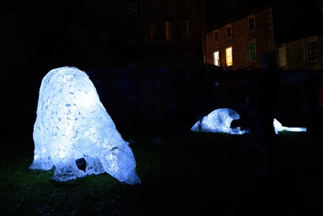 Polar bears at the Judges' Lodgings garden as part of Light Up Lancaster 2021. Photo: Kelvin Stuttard