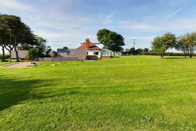 An expanse of lawn with established trees around the property.