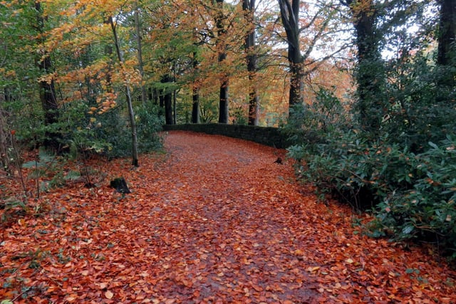 Autumn at Fewston, by Ian Willson, from Harrogate.