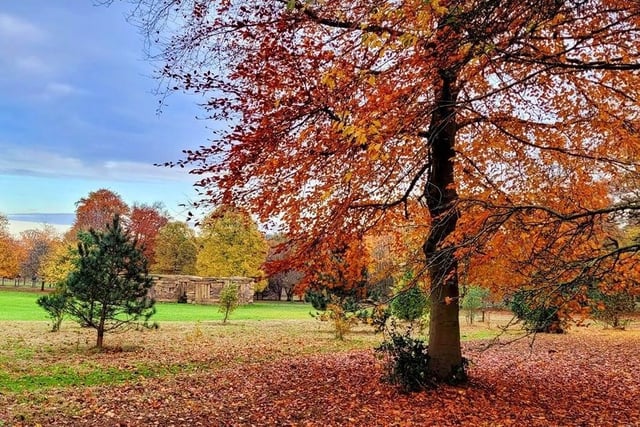 Ian Whitehead shared this photo of the beautiful colours at The Yorkshire Sculpture Park on Monday.