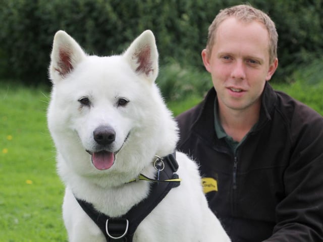 The picture of Akita perfection, Winter is a gorgeous fluffy pup who loves to snuggle up when he gets to know you. You can easily win his heart with a pocket full of snacks, so make sure to bring those with you on your visit! At 7 years old he isn't too demanding with his exercise, and prefers to potter around the garden and explore for himself. Winter does get a little bit anxious when left alone so he'd prefer to be around people most of the time, and he would need to be the only dog in his home.