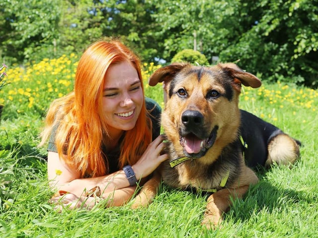 Take a look at this loveable boy! Buster is a three year old Rottweiler with so much love to give. Extremely affectionate and loved by all his handlers, Buster adores playing with humans and is somewhat of a gentle giant! He's friendly around other dogs as long as they respect his space, and he is already house trained so is the perfect pup to welcome into your family easily. Due to his unsettled start in life he is quite anxious and will hide in your shadow and follow you around quite a bit, so his new owners will need to be patient with him, especially in the early stages of adjustment.