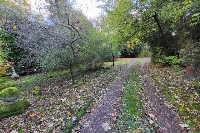 The leafy approach to the million pounds-plus property.