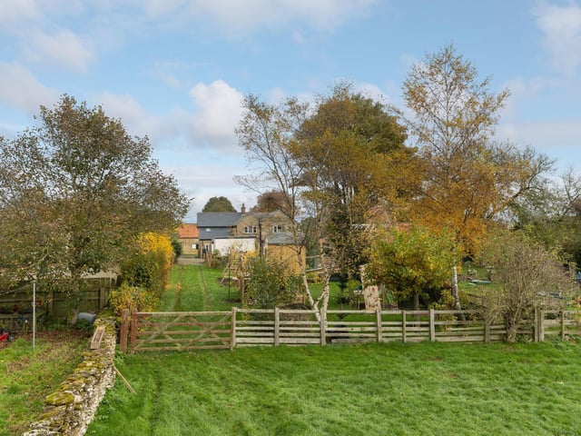 Looking back towards the house from the paddock.