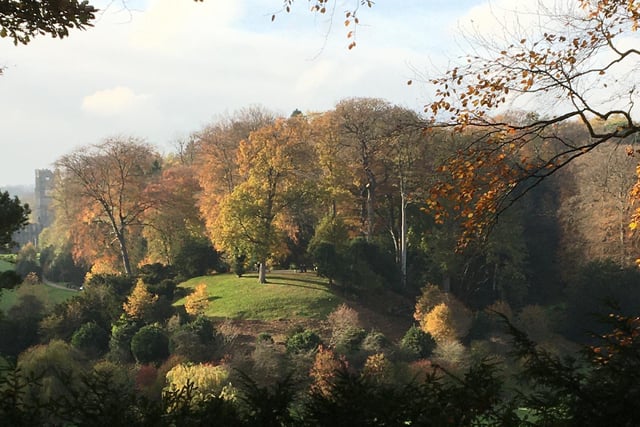 Autumn colours at Fountains Abbey, snapped by Andrew Rawlinson.
