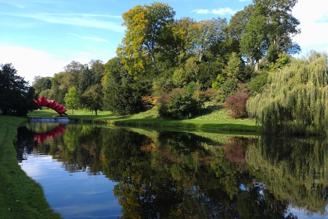 Autumn glory at Studley Royal canal, by Carol Cain.