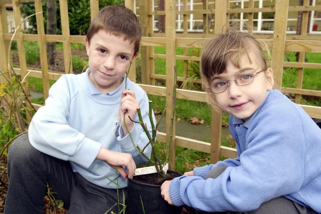 Heath View Primary School pupils Nathan Dobson (left) and Bridget Morgan hold a rose tree that was to be planted in memory of Stephanie Craig, a former pupil who died.