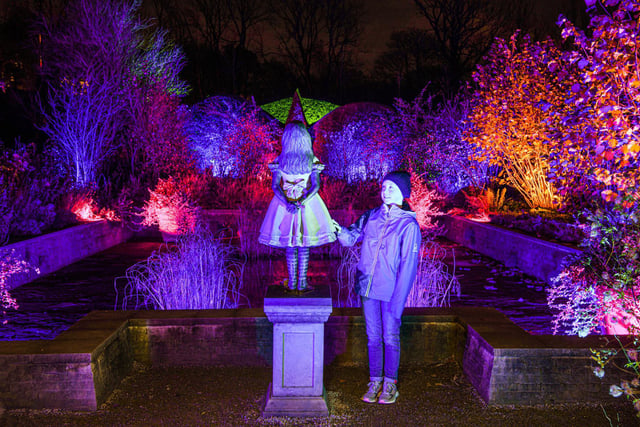 Mia-Grace Freeman (aged 10) looks at Alice in Wonderland at the Winter Illuminations at RHS Harlow Carr