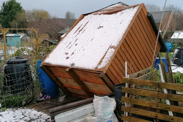 There will be many people attending their allotments this morning with trepidation at what damage may have been caused. This image was sent in by James Featherstone.