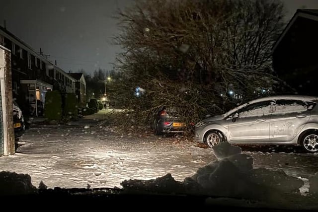 This image from Pam Ainslie shows a fallen tree on a car in Pannal at 5am on Saturday.